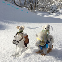 Winter in Roshino  ロシーノ冬景色